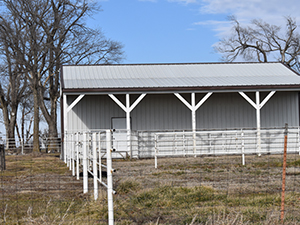 Cattle Shed 