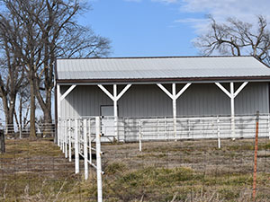 Cattle Shed Construction