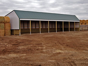 Cattle Shed1